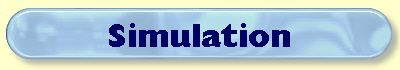  Simulation 